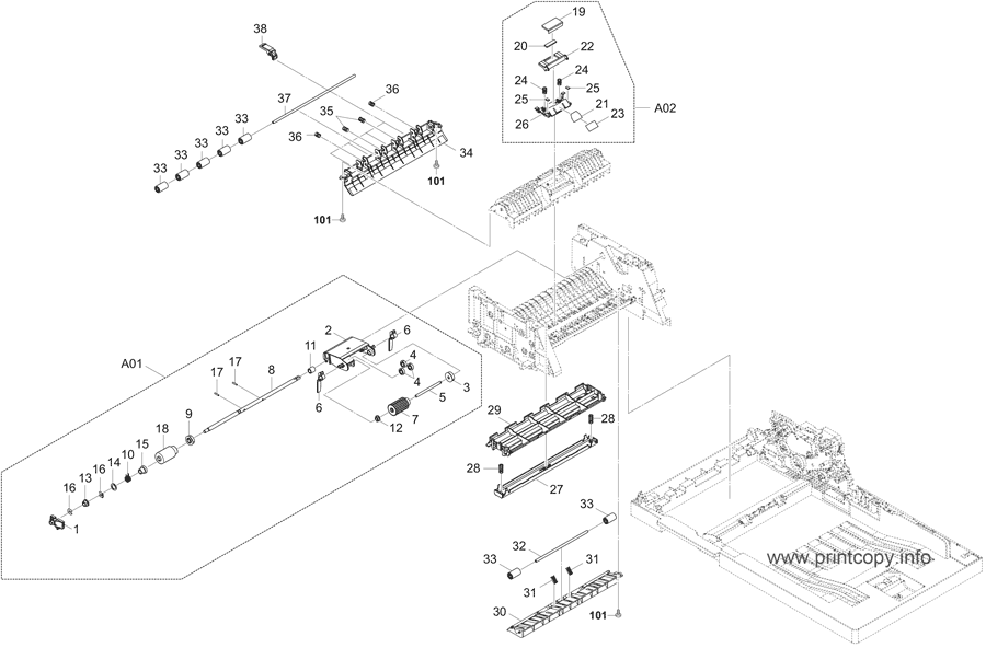 DP Paper Feed Section